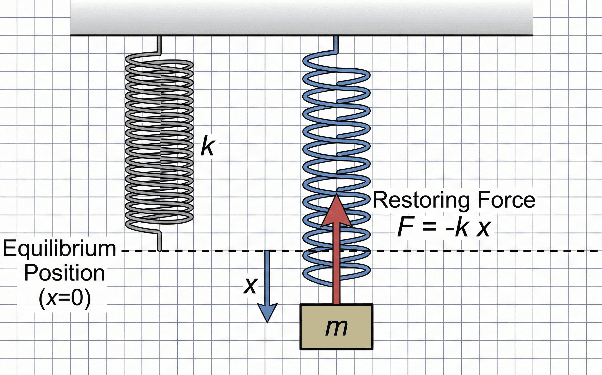 Mass–spring system showing a coil spring stretched by a distance x from its undeformed position with a restoring force F = -k x acting back toward equilibrium.