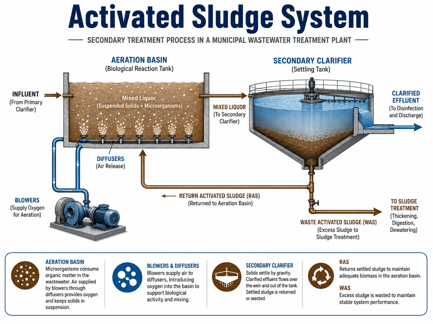 Activated sludge system diagram showing aeration basin, blowers, diffusers, mixed liquor, secondary clarifier, return activated sludge, waste activated sludge, and clarified effluent