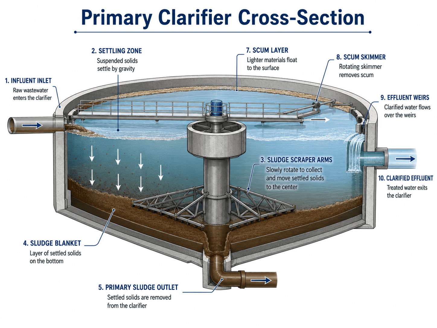 Primary clarifier cross-section showing influent inlet, settling zone, sludge blanket, sludge scraper arms, scum layer, scum skimmer, effluent weirs, and primary sludge outlet